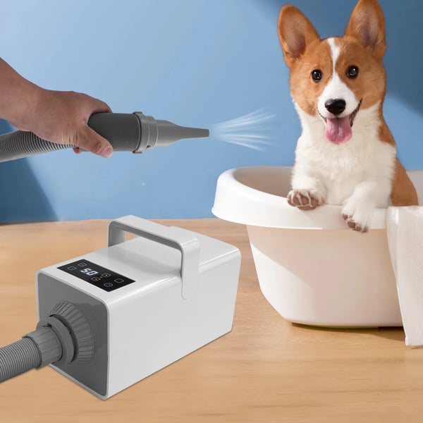 Dyreføn - Hundeføn/Katteføn - EU-stik - Effekt > 2000 W - En hastighed - Til små, mellem & store kæledyr - Hvid