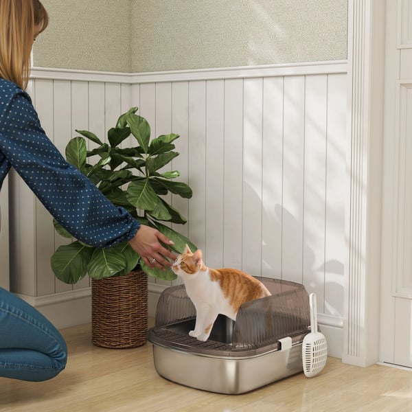 Kattlåda - Täckt - Bricka i rostfritt stål - Höga kanter - Skopa ingår - Anti-spridningszon - 53×42×27 cm - Antracitgrå