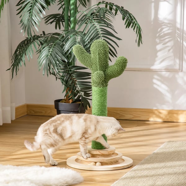 Kaktus klösträd - Klösstolpe för katt - 4 Nivåer - Sisalstolpe - Plyschhängboll - Bas i furu - 32×32×60 cm - Grön