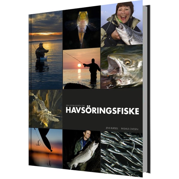 Den stora boken om havsöringsfiske (inbunden)