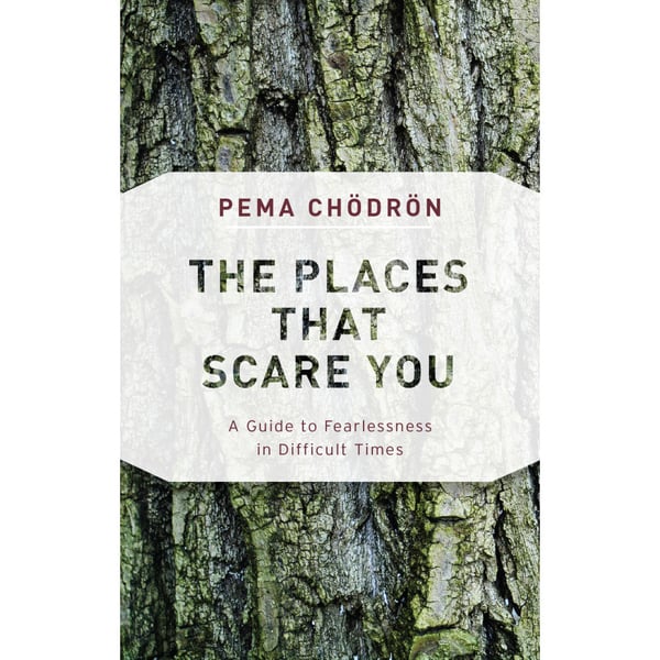 The Places That Scare You (häftad, eng)