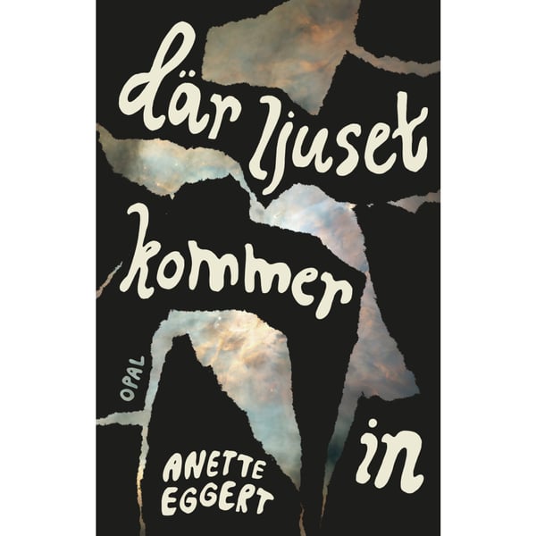 Där ljuset kommer in (inbunden)
