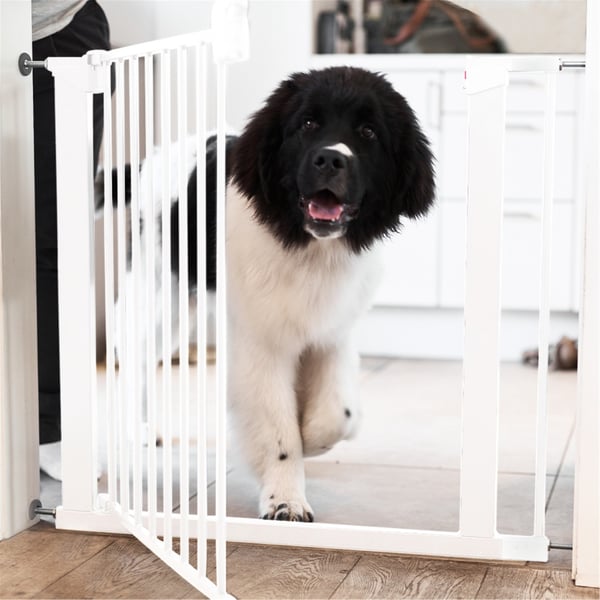 Lassie Hundgrind Vit