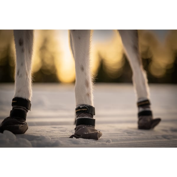 Hundskor High Endurance 4p Grå XS