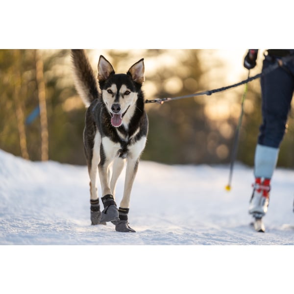 Hundskor High Endurance 4p Grå XS
