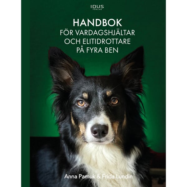Handbok för vardagshjältar och elitidrottare på fyra ben (inbunden)