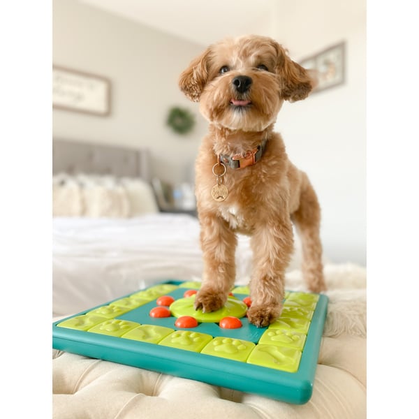 Aktiveringsleksak Multipuzzle Grön