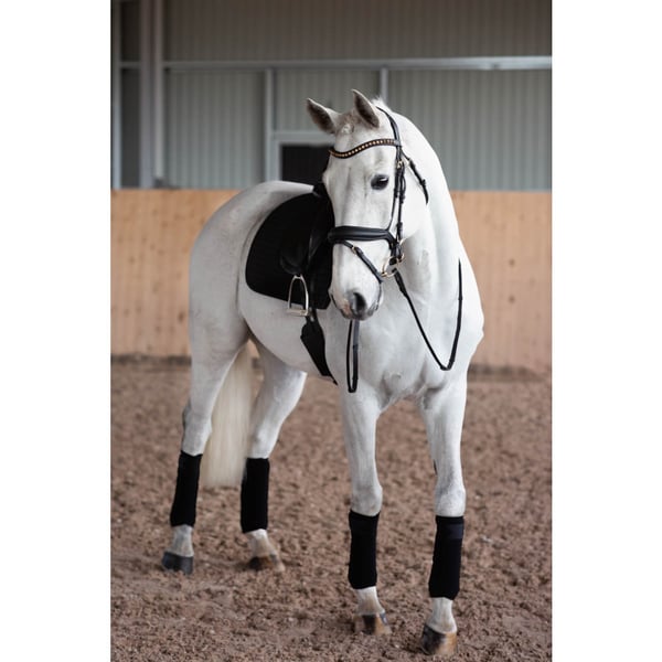 Cleveland Dressyrträns Svart Cob