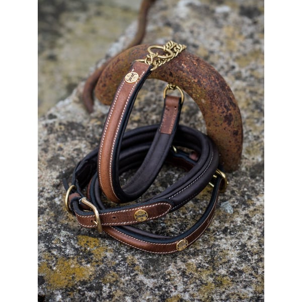 Asti Hundhalsband Halvstryp Brun 35cm