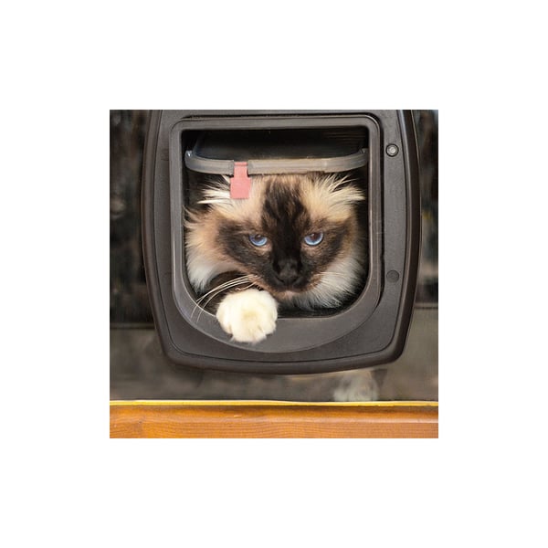 Kattlucka Swing Microchip Vit