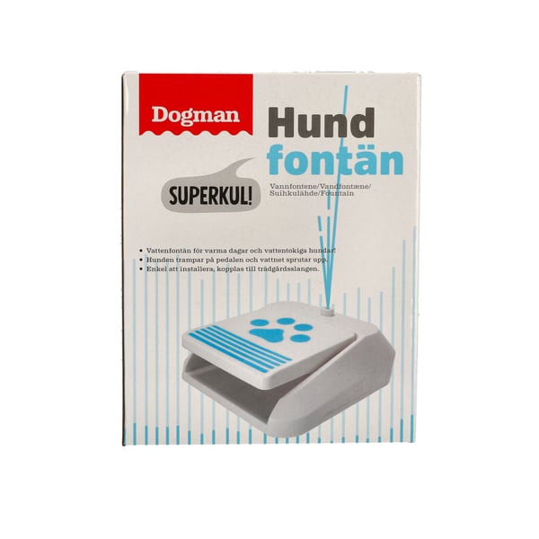 Vattenfontän Vit