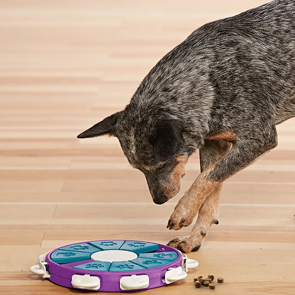 Dogtwister Plast Nina Ottosson NEW 30x5 cm