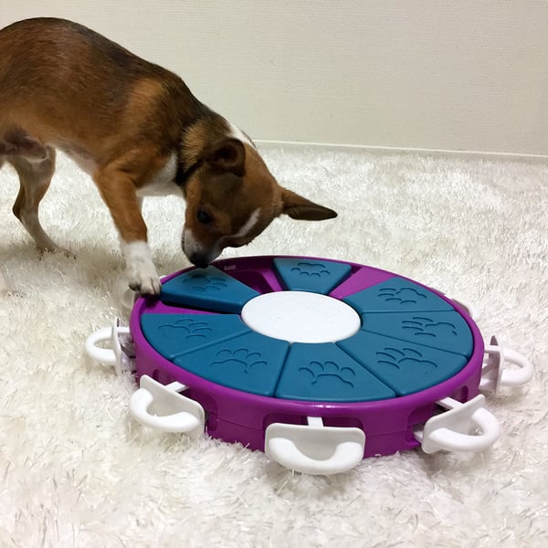 Dogtwister Plast Nina Ottosson NEW 30x5 cm