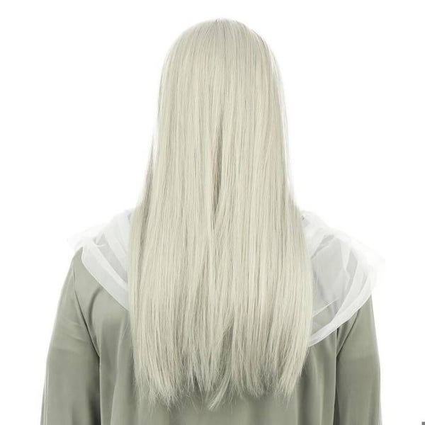 Tillbehör Kostym - LITEN CLOWN - 24002 - Peruk och magiker skägg - Grå - Unisex - Vuxen
