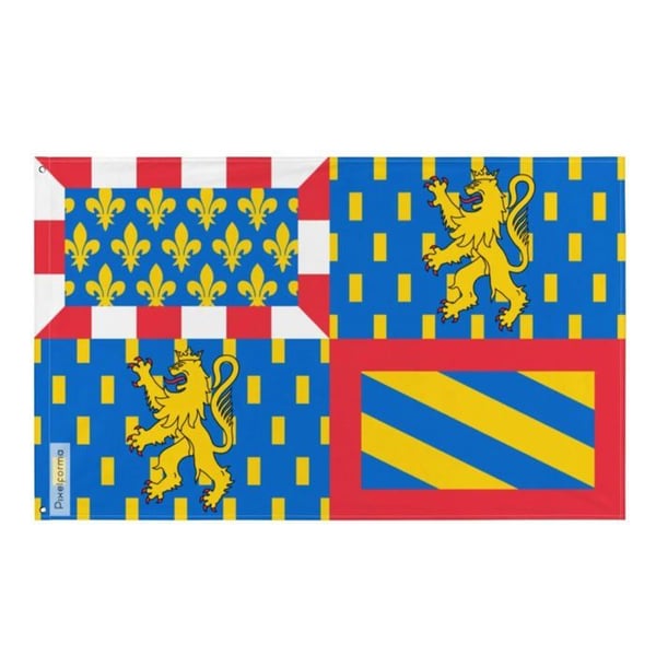 Flagga Bourgogne-Franche-Comté – 160 x 240 cm – Polyester – Öljett i järn – Motståndskraftig