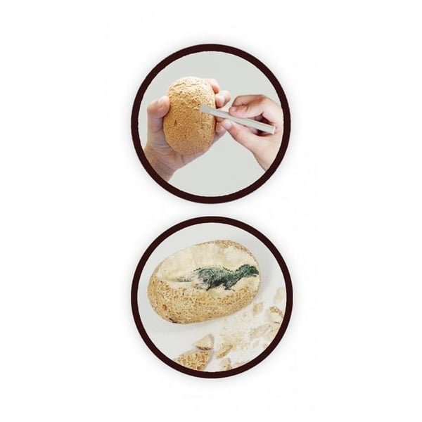 Buki - Dino Egg Maxi Pack Buki