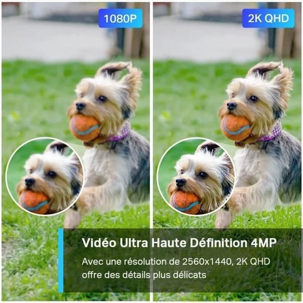 Utomhus WiFi övervakningskamera - TP-Link TAPO C320WS - QHD 4MP(2K+) - Night Vision - IP66 - Alexa-kompatibel