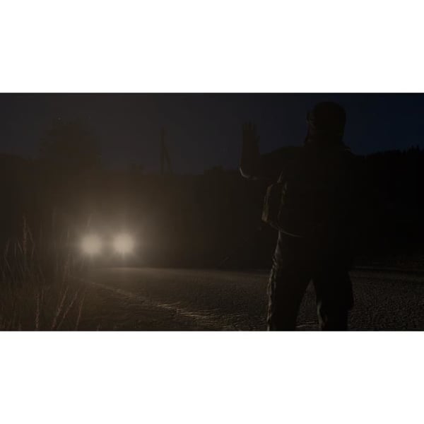DayZ