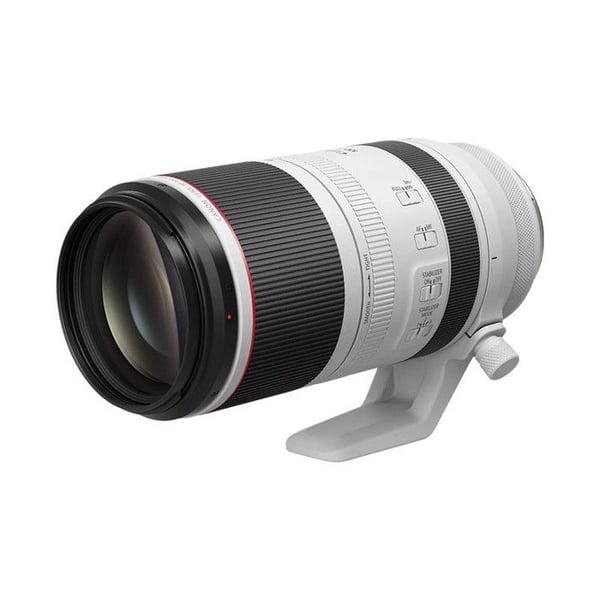 CANON Objektiv RF 100-500mm f/4.5-7.1L IS USM