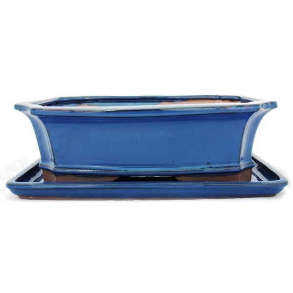 bol bonsai med fat storlek 5 - blå - fyrkantig - modell g4 - l 31cm - l 23cm - l 23cm - h 9,5 cm