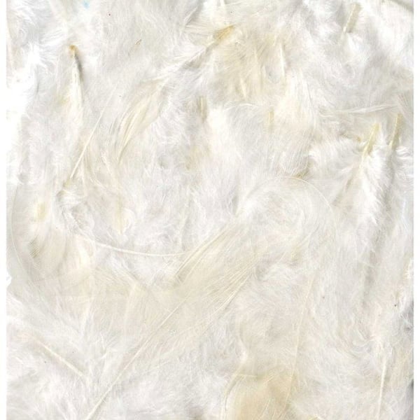 Artemio - Utslagna Vita Fjädrar 10g (stort paket)
