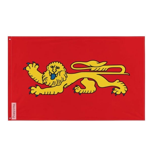 Aquitaine-flagga – 96 x 144 cm – Hållbar polyester – 2 metallöglor – Inomhus / Utomhus – Pixelforma