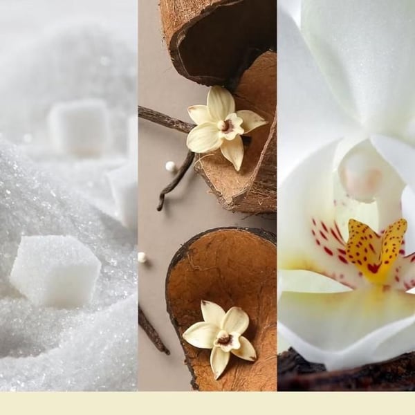 YANKEE CANDLE Stor Glas Krukke Vanilla Flurries