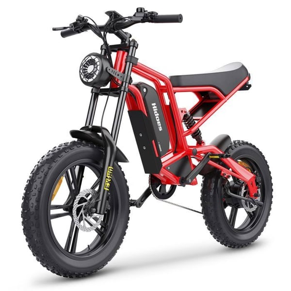 Elcykel Hidoes B6 til voksne, motor 250 W, batteri 48 V 15,6 Ah, brede dæk 20 tommer, terrængående.