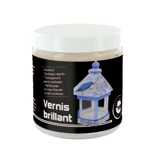 MégaCréa DIY - Glanslack Special för Kreativa Hobbies Snabbtorkande