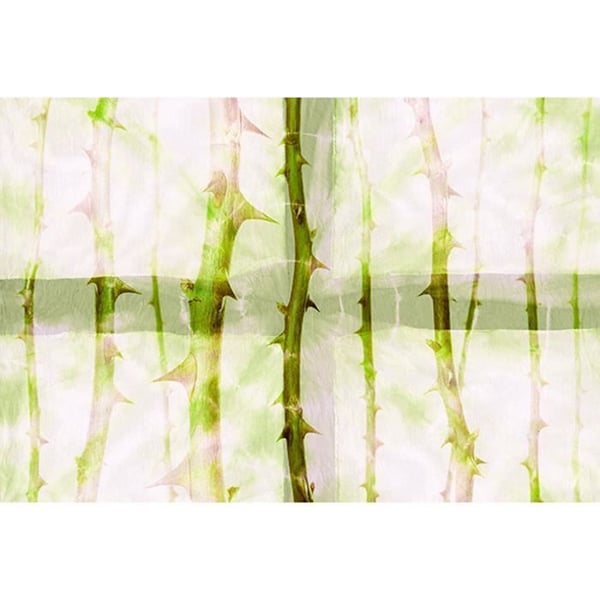 Tapet Natur M1-No.60300 Digitaltryck Grön Vit Tapet Natur M1-No.60300 Digitaltryck Grön Vit