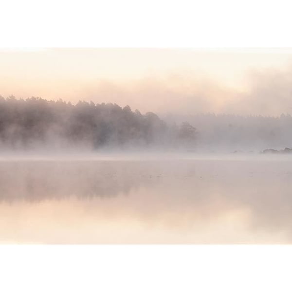 Tapet Lac M1-No.61197 Digitaltryck Beige Grå Landskap Natur