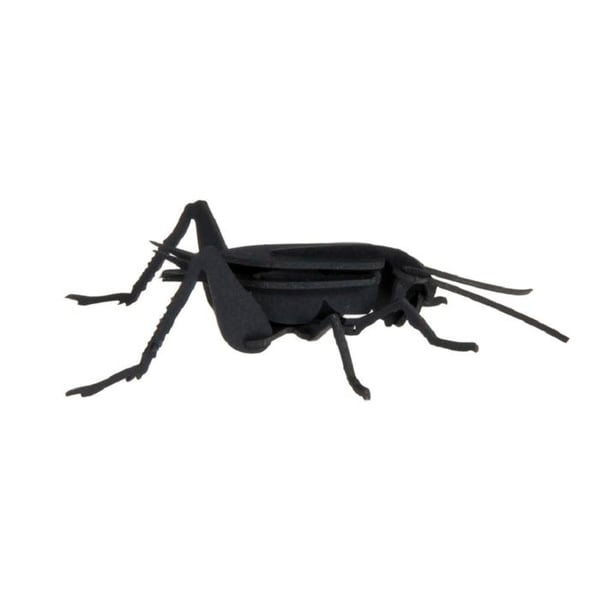 Fridolin - Pappersmodell 3D Cricket