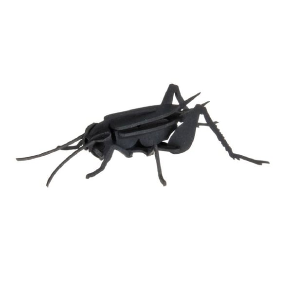 Fridolin - Pappersmodell 3D Cricket