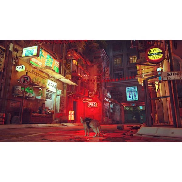 Videopeli - Stray - Nintendo Switch - Seikkailu - Tuo - Pelaa ranskaksi