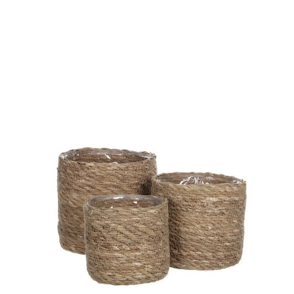 Set av växtkorgar Atlantic - MICA DECORATIONS - Sjögräs - H16 x Ø16 cm