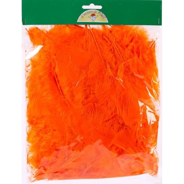Säck med fjädrar - Graine Créative - 100 fjädrar 10 cm - Ungefär 100 stycken - Flerfärgad - 25 g