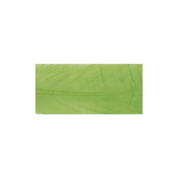 Gåspennor, grön lime, 16 - 20 cm, 8 st