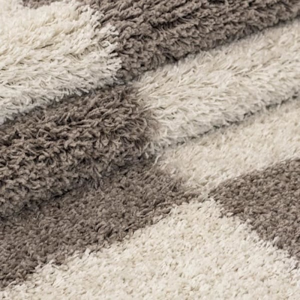 Tapis Shaggy - Ayyildiz - Gala - Beige-Creme - 120x170 cm - Lång lugg 30 mm