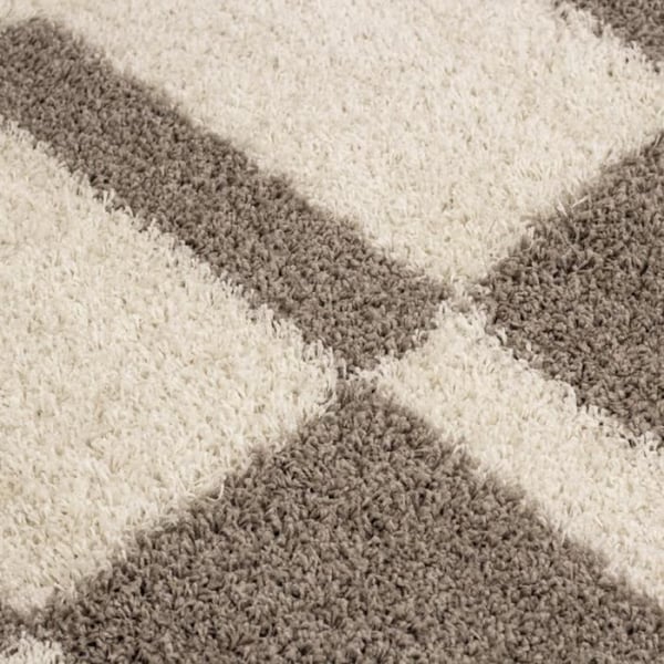 Tapis Shaggy - Ayyildiz - Gala - Beige-Creme - 120x170 cm - Lång lugg 30 mm