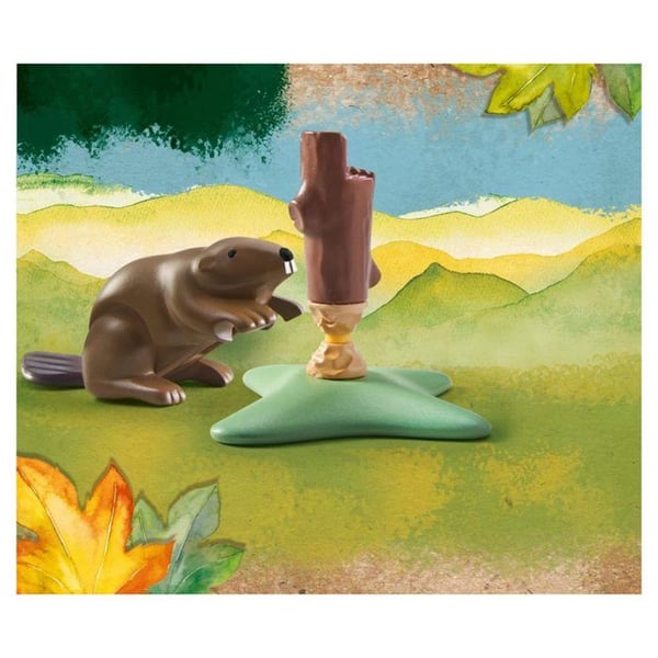 71291 - Bäver och en stubbe