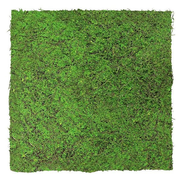 JANGAL - Modular Wall - Akustisk väggpanel - 520 x 520 x 50 mm - Urgammalt skogsgrönt träd - Naturfiber - Växtpanel
