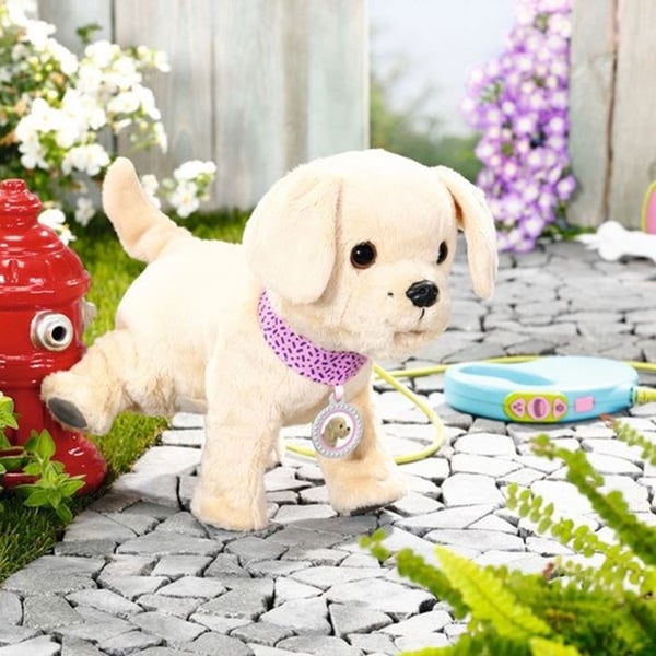 Bebis född Mon chien Lucky med box