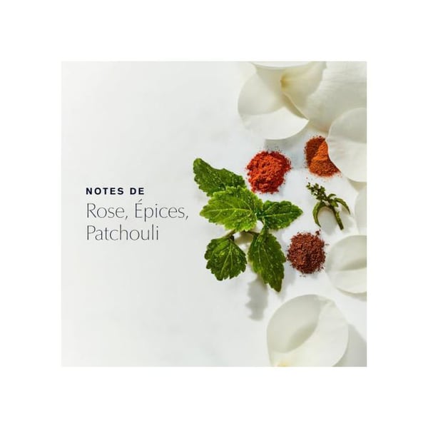 Estée Lauder Youth-Dew Body Cream 200 ml