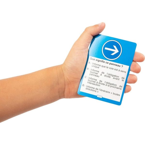 Brädspel Save Your License - TOPI GAMES - Red - Boy and Girl
