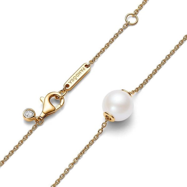 Halsband - PANDORA - 363167C01-45 - Guld - Perlmutt - Ankarkedja