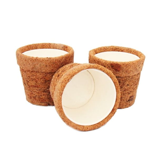 Kokodama - Tom planter 10 cm - Set med 3 delar