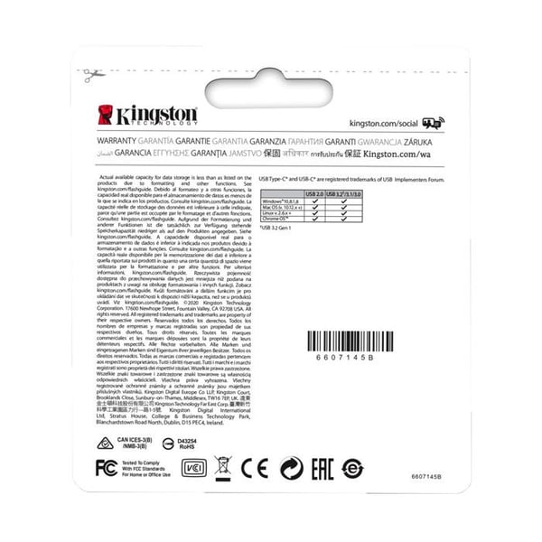Harddisk - Kingston - DTDUO3CG3/256GB - 256 GB - USB 3.0 - 100 MB/s læsning