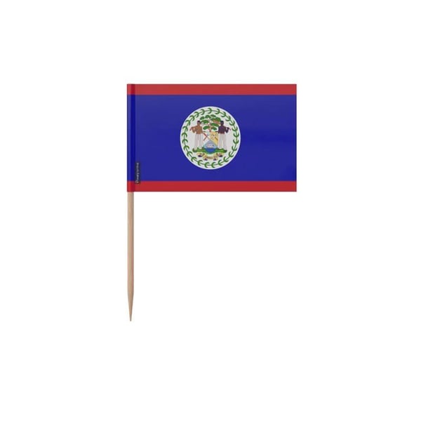 Tandpetare Belize-flagga - 8 cm - 100 stycken - Självhäftande plast - Bambupinne - Pixelforma