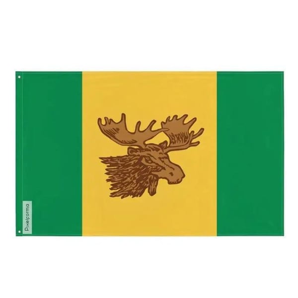 Flagga Moose Jaw – 90 x 150 cm – Hållbar Polyester – 2 Metalöglor – Inomhus / Utomhus – Pixelforma