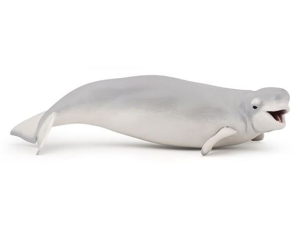Beluga Figurine - PAPO - THE MARINE UNIVERSE - Mixed - Från 3 år Beluga Figurine - PAPO - THE MARINE UNIVERSE - Mixed - Från 3 år